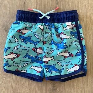 Toddler Boy swim trunks Cat & Jack